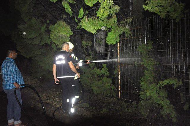 Elektrik tellerinden çıkan yangın çam ağaçlarını yaktı