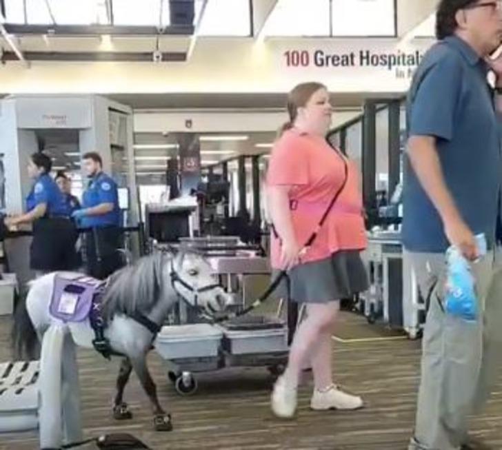 Bu gözler bunu da gördü! Uçağa atla bindi G1