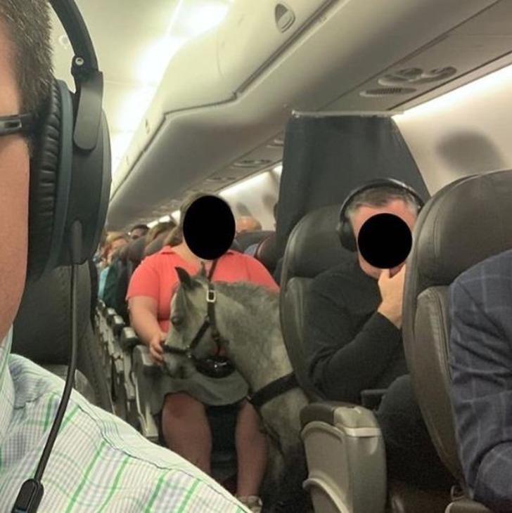 Bu gözler bunu da gördü! Uçağa atla bindi G2