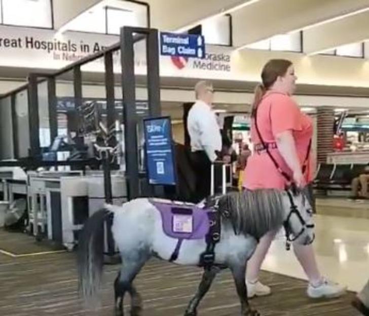 Bu gözler bunu da gördü! Uçağa atla bindi G3