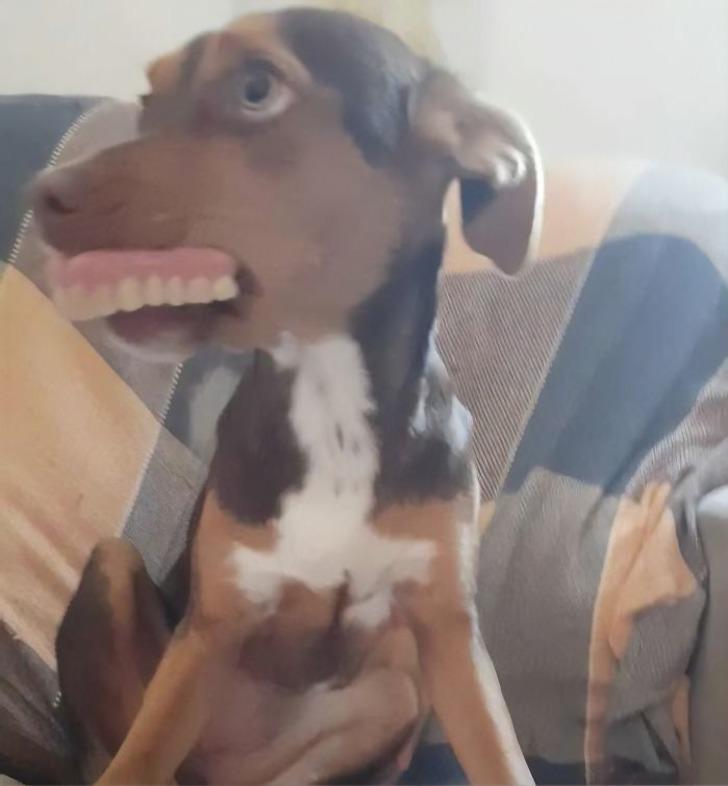 Bu fotoğrafı paylaştı, dişlerini gören hayrete düştü! G2