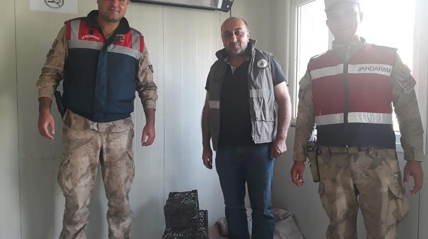 Kafes avcısı jandarmaya takıldı
