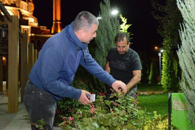 Çorum Belediye’si vektörel mücadeleye hız verdi