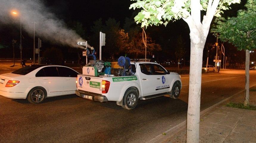 Çorum Belediye’si vektörel mücadeleye hız verdi