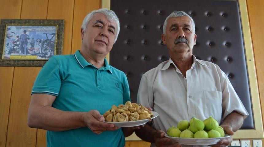 İncir &uuml;reticisinin keyfi yerinde