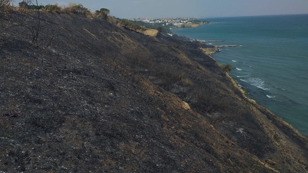 Tekirdağ&rsquo;da ormanlık alanda yangın
