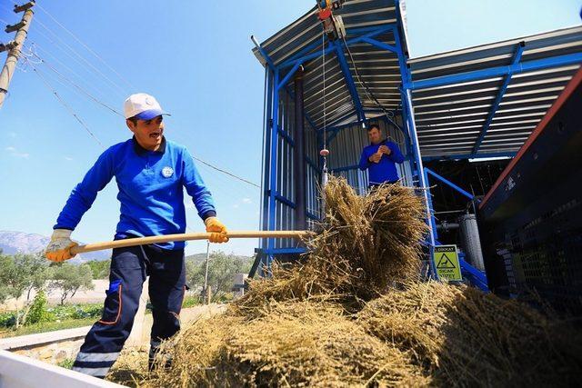 Büyükşehir’den Tıbbi-Aromatik bitki üreticilerine Distilasyon hizmeti