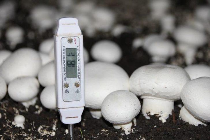 KOSGEB kredisiyle kendi işinin patronu oldu G3