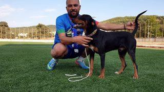 Yok böyle transfer! Köpek karşılığında imzayı attı