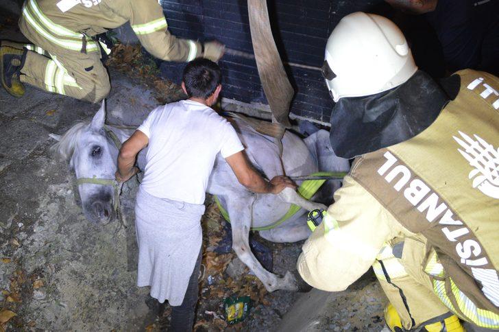 Sahibinin elinden kaçınca olanlar oldu! Ekipler atı kurtarmak için seferber oldu! G4