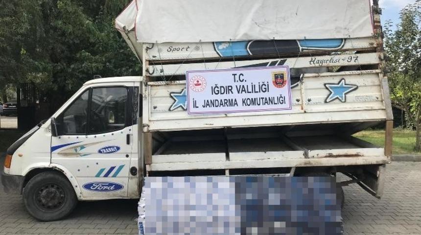 Iğdır’da 4 bin 900 paket kaçak sigara ele geçirildi