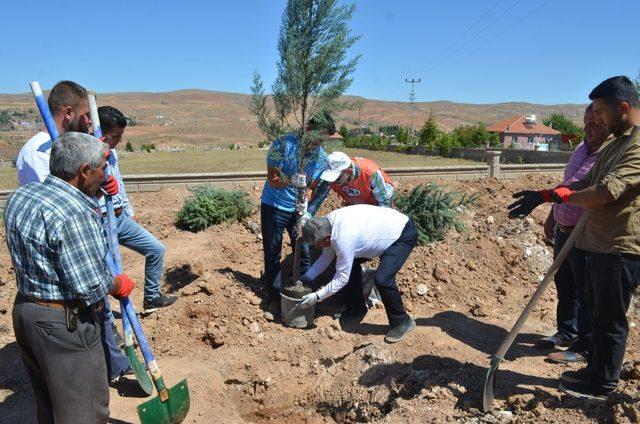 Yeşil Bünyan için ağaçlandırma çalışmaları devam ediyor