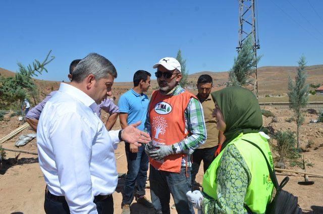 Yeşil Bünyan için ağaçlandırma çalışmaları devam ediyor