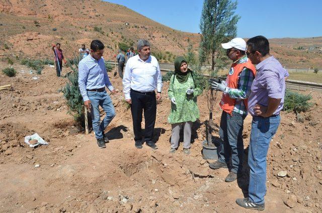 Yeşil Bünyan için ağaçlandırma çalışmaları devam ediyor