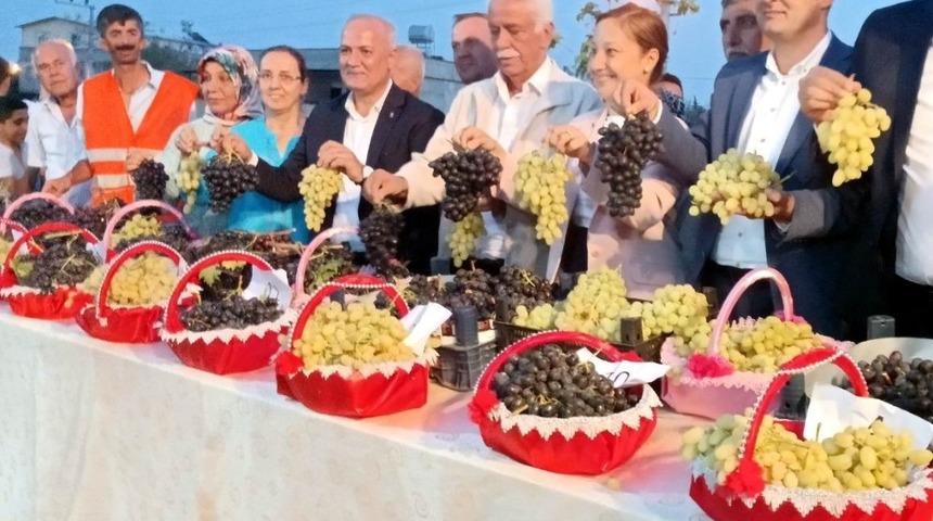 En g&uuml;zel &uuml;z&uuml;m se&ccedil;ildi