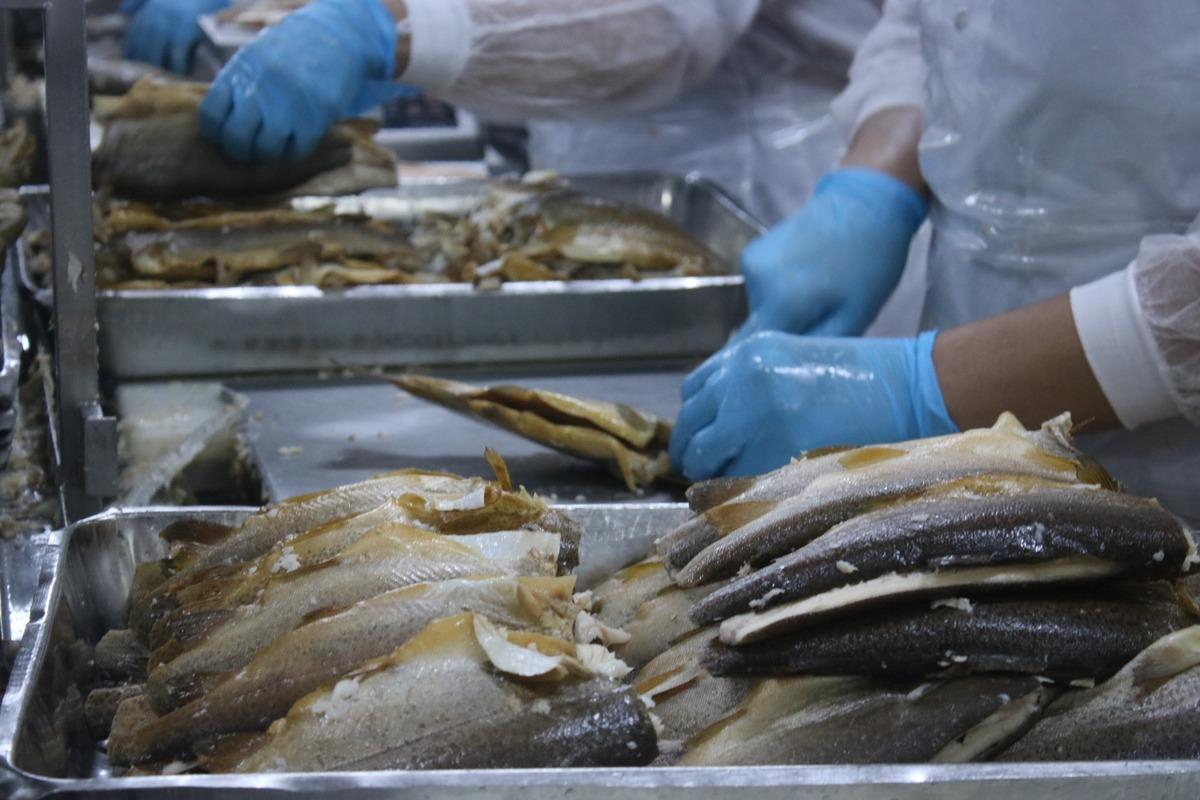 Denizli&rsquo;den d&uuml;nyanın 80 &uuml;lkesine yıllık 6 bin ton t&uuml;ts&uuml;lenmiş balık g&ouml;nderiyorlar