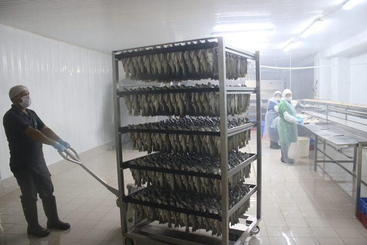 Denizli’den dünyanın 80 ülkesine yıllık 6 bin ton tütsülenmiş balık gönderiyorlar G2