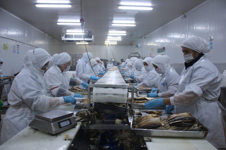 Denizli’den dünyanın 80 ülkesine yıllık 6 bin ton tütsülenmiş balık gönderiyorlar G4