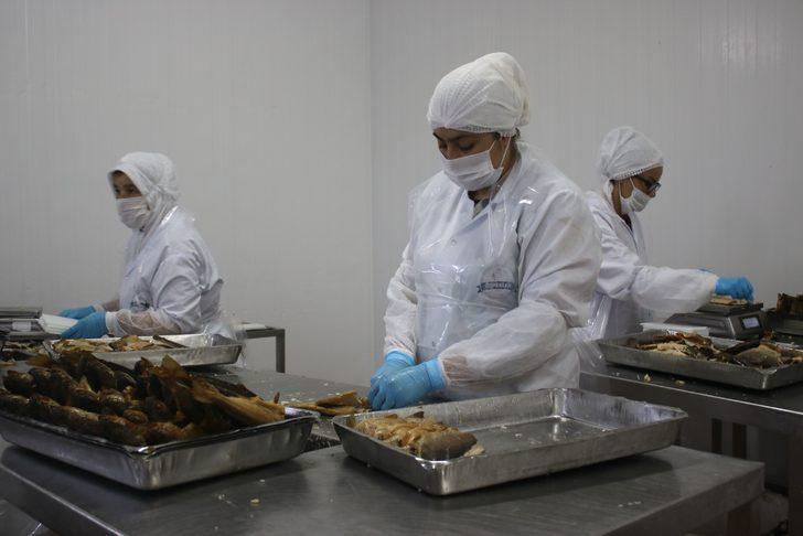 Denizli’den dünyanın 80 ülkesine yıllık 6 bin ton tütsülenmiş balık gönderiyorlar G5