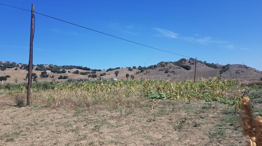 Sungurlu’da telefon kablolarını çaldılar