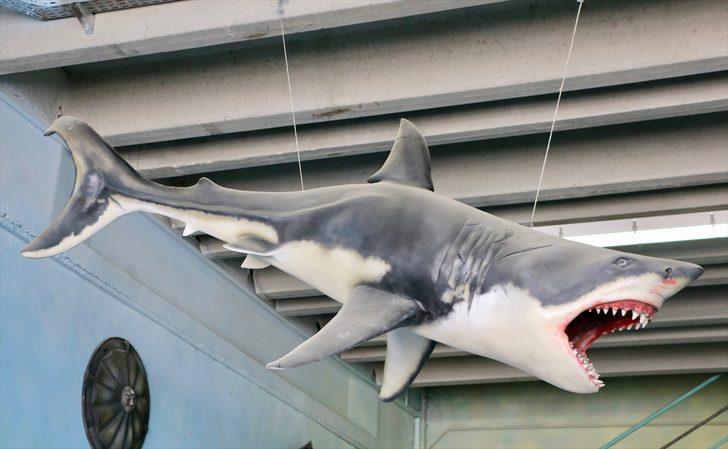 Dünyanın akvaryumunu Türkler süslüyor G1