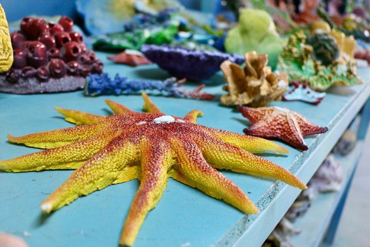 Dünyanın akvaryumunu Türkler süslüyor G2