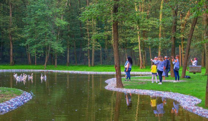 Avrupa'nın en büyük doğal yaşam parkı film seti oldu G2