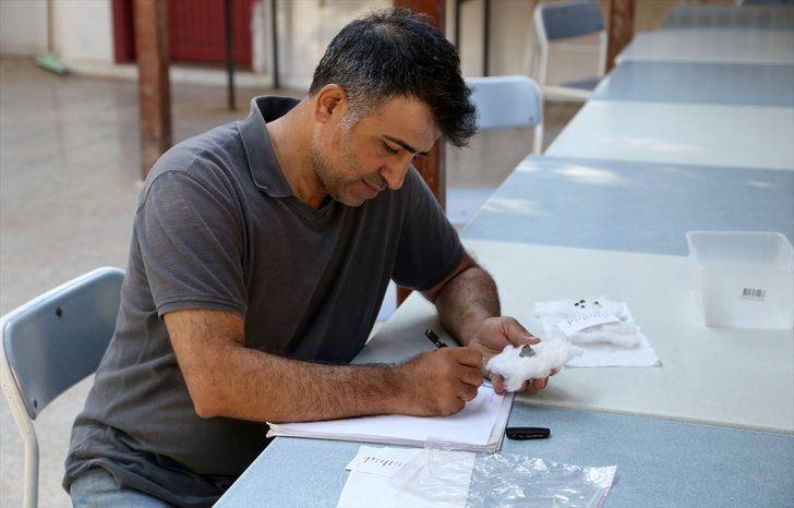  Kilis'te 4 bin yıllık nar kabuğu bulundu G2