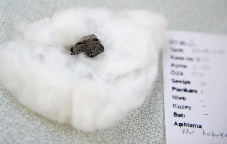  Kilis'te 4 bin yıllık nar kabuğu bulundu G5