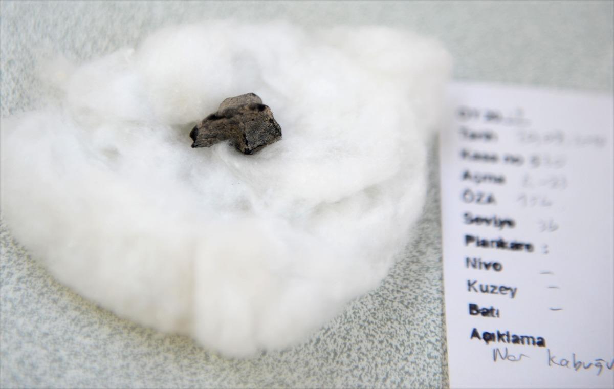  Kilis'te 4 bin yıllık nar kabuğu bulundu