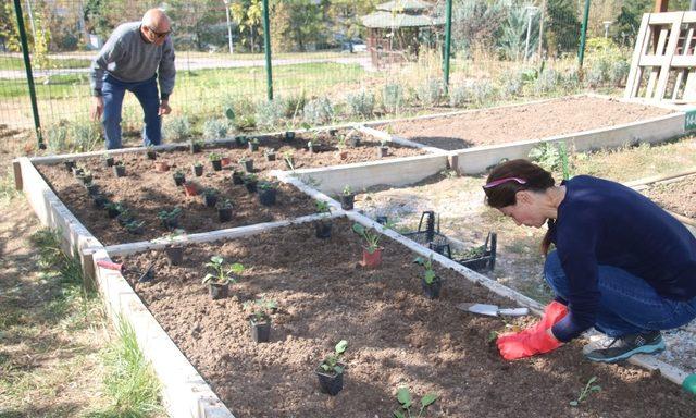 Kent tarımda 2019 sonbahar  sezonu için kayıtlar başladı