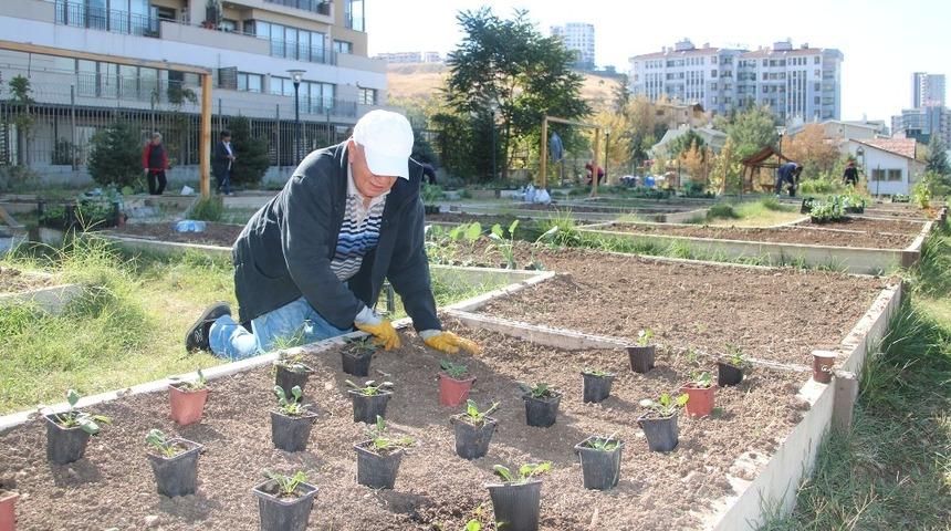 Kent tarımda 2019 sonbahar  sezonu i&ccedil;in kayıtlar başladı