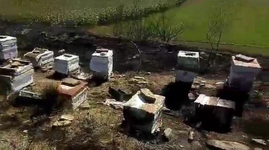 Tekirdağ&rsquo;da 40 sandık arı kovanı yandı