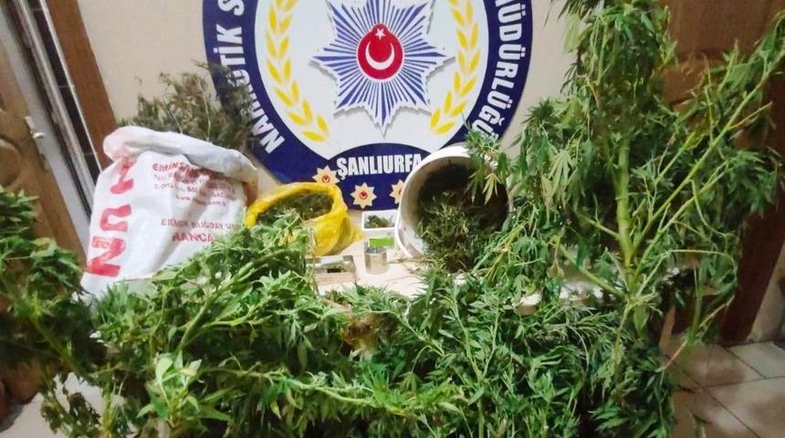 Şanlıurfa&rsquo;da uyuşturucu operasyonu