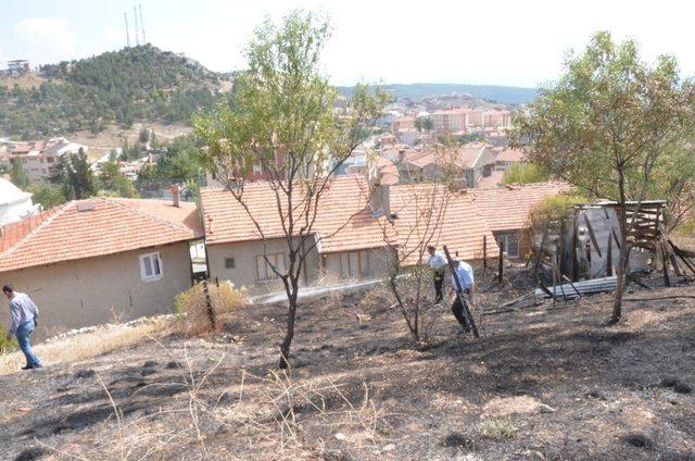 Yangın büyümeden söndürüldü