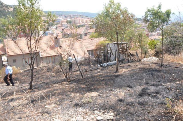 Yangın büyümeden söndürüldü