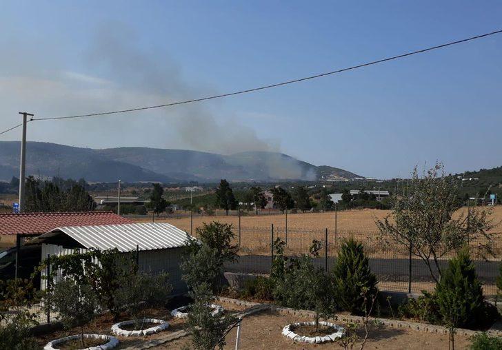 Foça'da besi çiftlikleri yakınında yangın G3