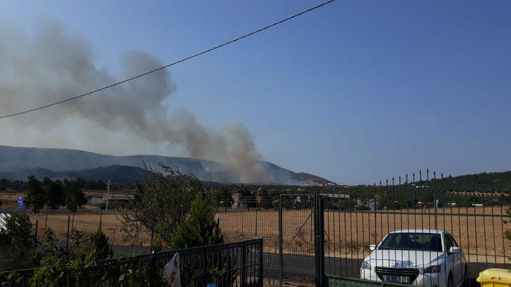 Foça'da besi çiftlikleri yakınında yangın G4