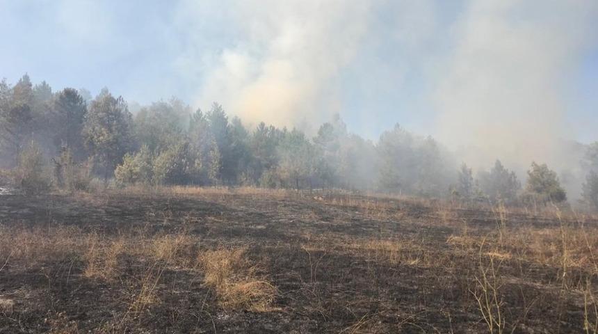 Sinop&rsquo;ta &ouml;rt&uuml; yangını