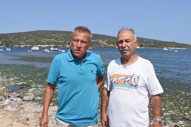 Çeşme'de kanalizasyon atıklarının denizi kirlettiği iddiası