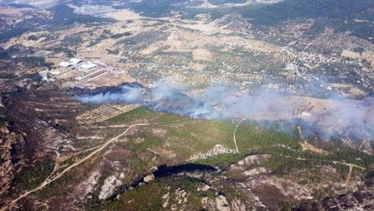 Foça'da besi çiftlikleri yakınında yangın G1