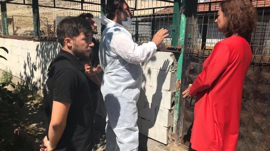 Başkan K&ouml;se&rsquo;den hayvan barınağında inceleme