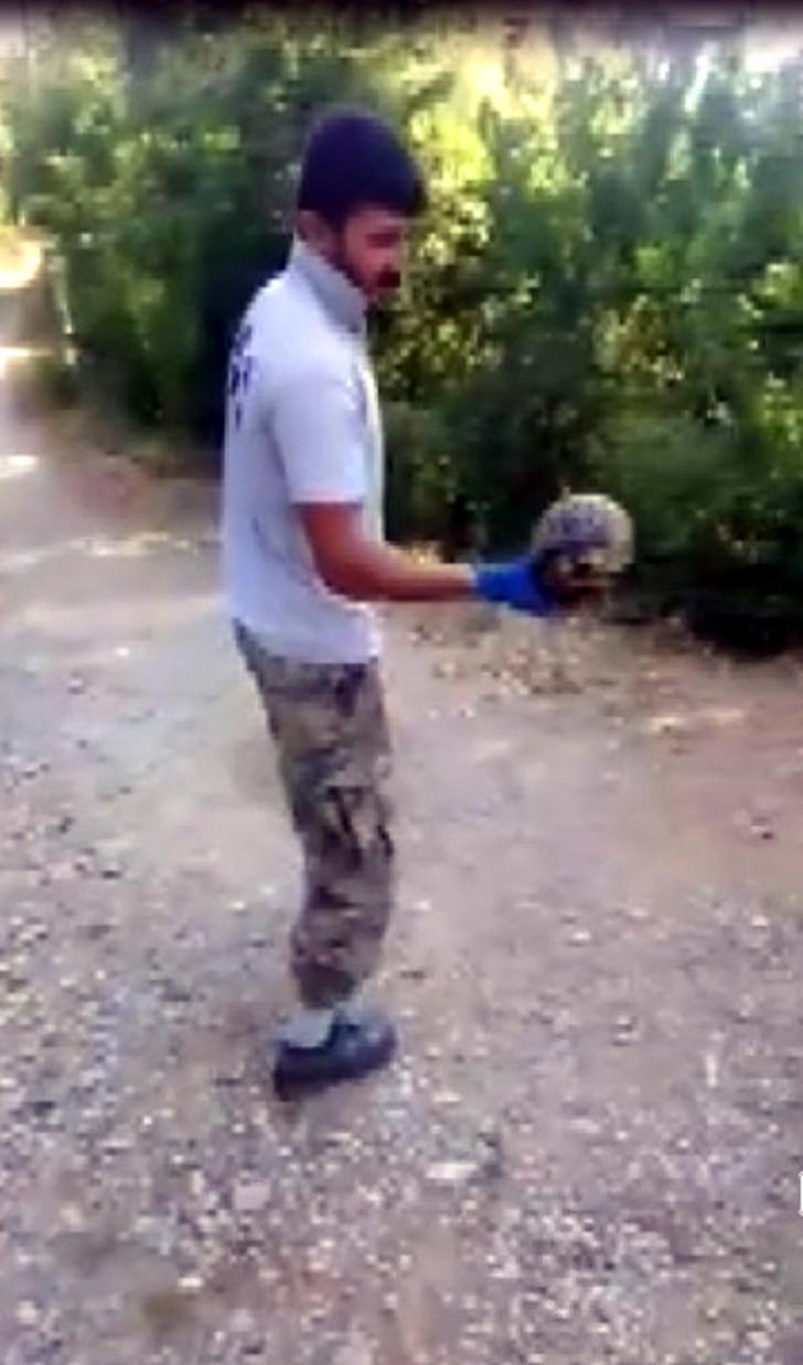 Çöpe atılan kaplumbağaları temizlik görevlisi kurtardı G3