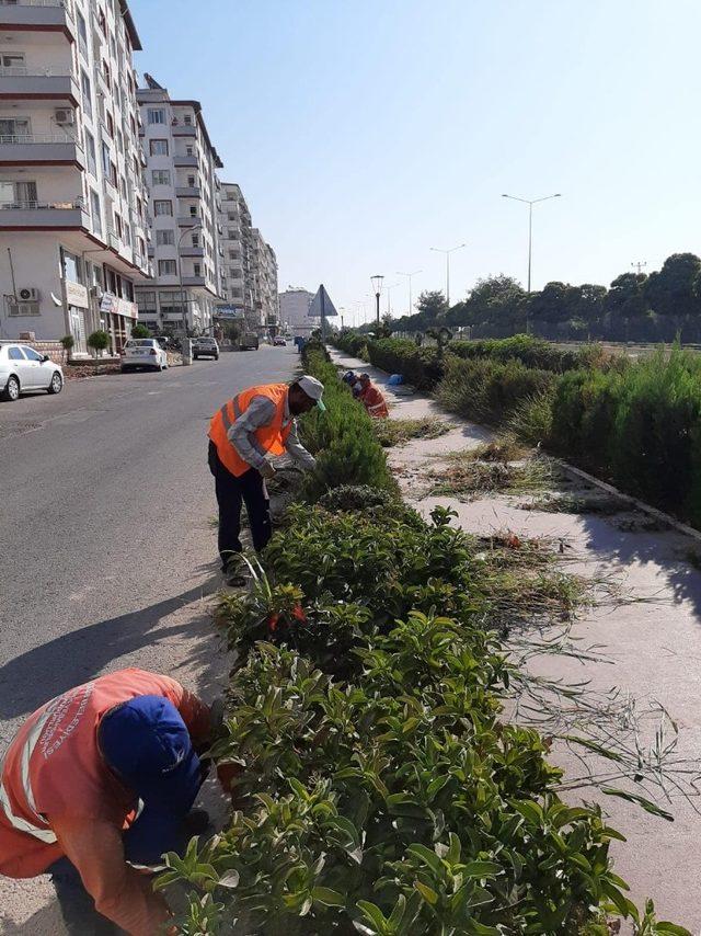 Kilis Belediyesinden hizmet atacağı sürüyor