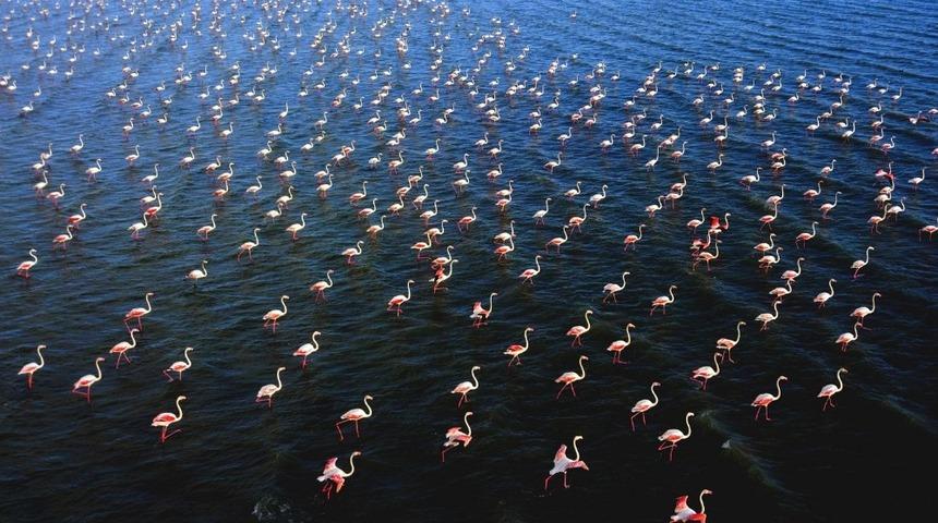 İHA muhabiri Olcay&rsquo;a 2 &ouml;d&uuml;l