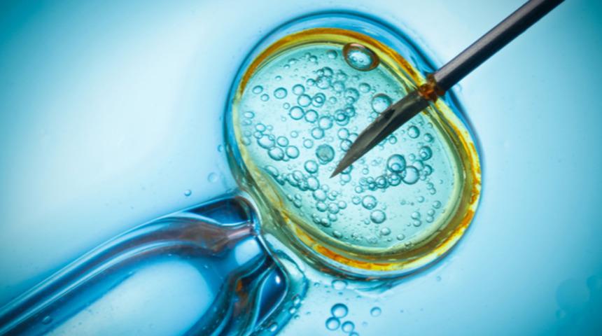 PRP&rsquo;nin yumurtalıklar &uuml;zerindeki etkisi 