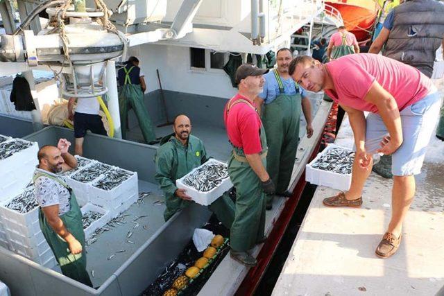 Av yasağı bitti, balık bollaştı