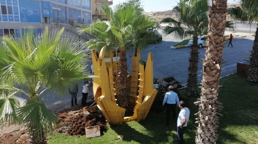 Kavşak çalışmasında ağaç titizliği