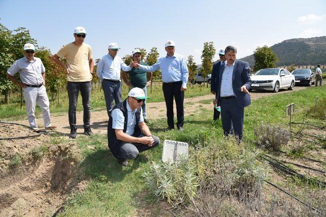 ESOGÜ Rektörü Şenocak’tan Orman Bölge Müdürlüğüne ziyaret