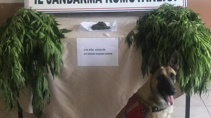 Karab&uuml;k&rsquo;te uyuşturucu operasyonu